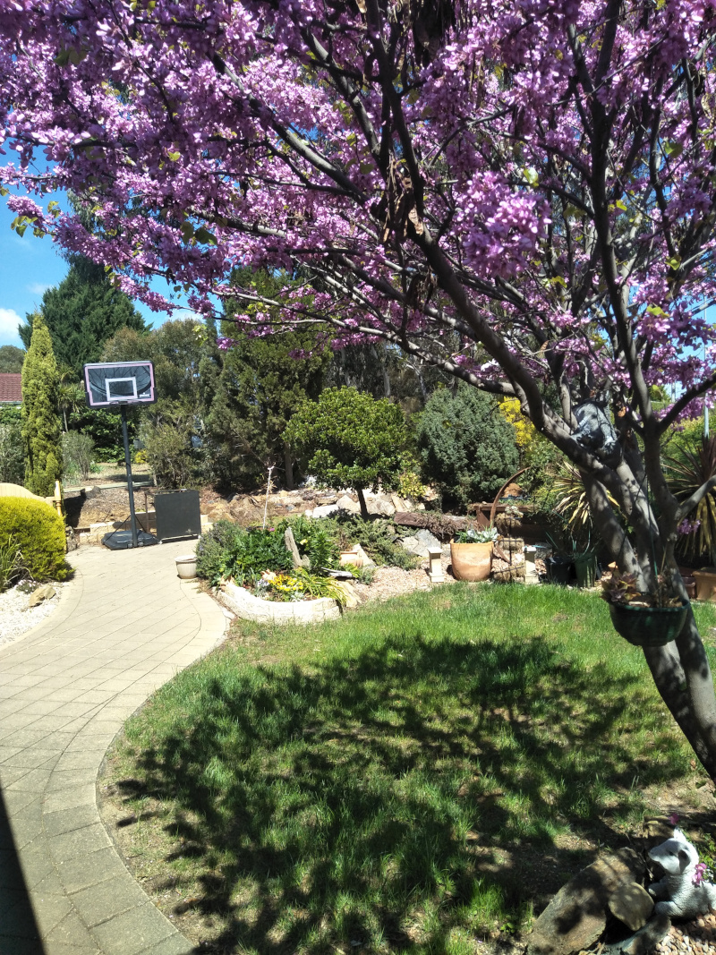 Kambah